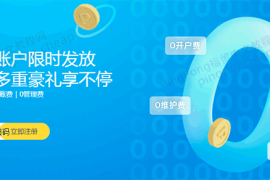 PingPong福贸外贸收款账户是如何收费的？