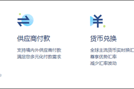 外贸B2B收款账户PingPong福贸怎么样?有什么优势？