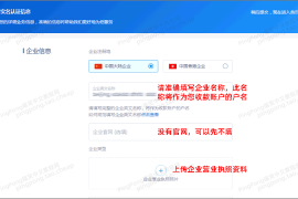 注册PingPong福贸为什么要提交材料认证？